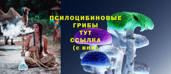 СК Алексеевка