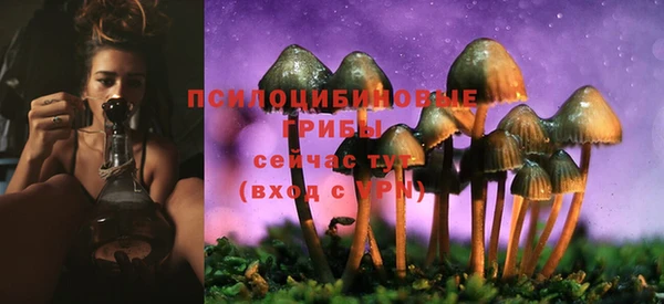 СК Алексеевка